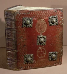 Cour des Comptesin Livre Ferre (nahka ja vellum)