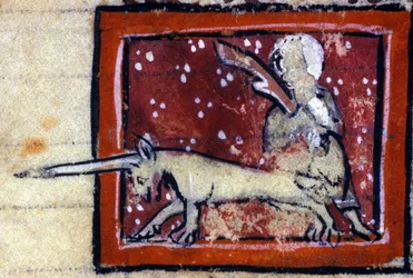 Neitsyt ja yksisarvinen (yksisarvinen) - ranskalainen bestiaari 1300-luvulta. Milano, Biblioteca Trivulziana.