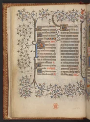 Ensimmäinen lehti Ristin tunteista, Tuntikirja, Lisää MS 32454 f.8v, Ranska