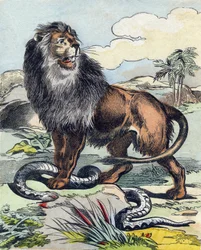 Leijona. Kaiverrus "Buffon Alphabet des Animaux". 3. sarja N 1. Epinal, Epinal, 1800-luvun loppu. Kuvaus. 16 sivua. Mitat: 28x21cm