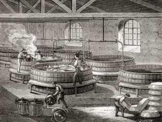Saippuan valmistus suurissa säiliöissä 1800-luvulla, julkaisusta "Les Merveilles de la Science", julkaistu noin vuonna 1870 (kaiverrus).
