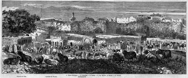 Näkymä Tangerin kaupunkiin (Marokko), arabien marssin päivänä. Kaiverrus "" Le Monde Illustré" -julkaisussa nro 129, 1. lokakuuta 1859.