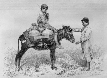 Vedenkuljettaja, Syyriasta tänään. Matkustaa Foinikiassa, Libanonissa ja Juudeassa. Louis Charles Emile Lortetin 1875-1880, 1884 (bw-kaiverrus)