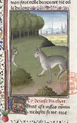 Villikissat, Gaston Phebus de Foixin (1331-91) Metsästyskirjasta