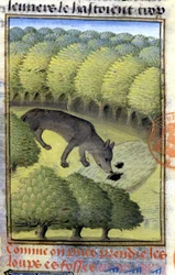 Susi - "" Metsästyskirjassa Gaston Phoebus, Foixin kreivi, Lord of Béarn""
