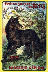 Susi. Kansi "Syllabar aakkoset kaikenlaisia punajuuria". Serie A. Pellerin et Cie, kirjapainot-kustantajat, Epinal, 1800-luvun loppu. Kromolitografit. Pieni 8-sivuinen mainosalbumi, joka sisältää tavun ja kuvamateriaalin sekä kuvailevia tekstejä. Dimen