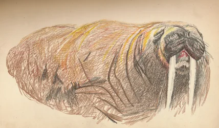 Sleepy and Cross, 12. syyskuuta 1893. Pastelliluonnos, 1893, 1897