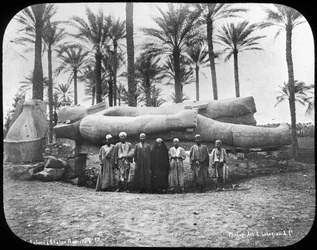 Pudonnut valtava Ramses Suuren patsas, Memphis, Egypti, 1890