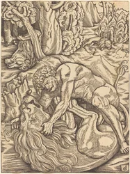 Hercules ja Nemean-leijona