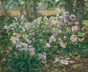 Tuulenkukat, 1912.