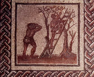 Galloroomalainen taide: maalaiskalenteria esittävä mosaiikkilattia. Oliivien poimintakohtaus. 100-luvun loppu, 200-luvun alku jaa. Saint-Romain-en-Galista (Rhône). Saint-Germain-en-Laye, Kansallinen arkeologinen museo