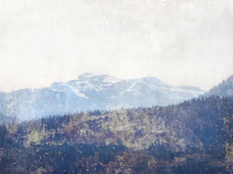 Misty Mountainin metsä