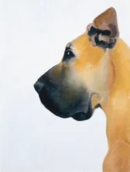 Great Dane, 2016 (öljy laudalle)
