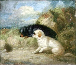 Terrierit Rabbit Holen luona