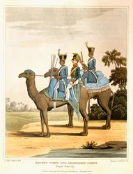 Rocket Corps and Dromedary Corps, Bengal Army 1817, julkaisusta "Journal of a Route Across India and Through Egypt", kaiverrus R. Havell ja Son, pub. Kirjailija: John Murray, 1819