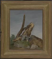 Study of Rocks and Branches, n. 1795 (öljy paperille)