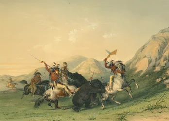 Hyökkäys Grizzly-karhua vastaan