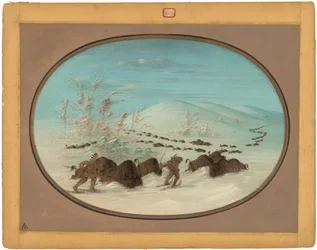 Buffalo Chase lumen ajossa - Ojibbeway