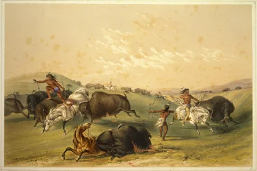 Buffalo Hunt: Lukuisa ryhmä