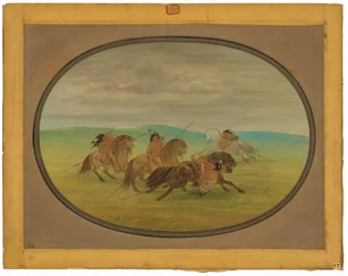 Comanche-ratsastustaito