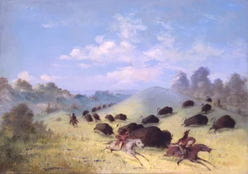 Comanche-intiaanit metsästävät biisoneita keihäin ja jousin, 1846-1848.