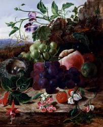 Hedelmäinen asetelma, fuksia ja linnunpesä. George Claren (1835-1899) maalaus Yksityiskokoelma.