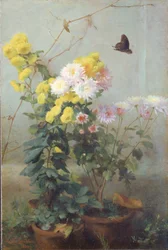 Syksyn auringonpaiste