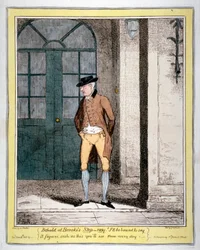Mies Brooks