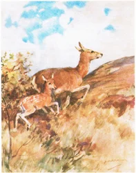 Tawny kääntyi ja pakeni kehottaen Rustya seuraamaan häntä (väri litho)