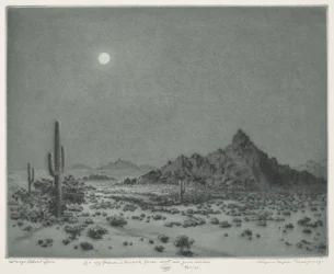 Arizonan yö