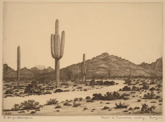 Tie Paradise Valleyhin, Arizonaan