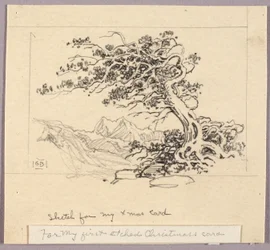 Luonnos joulukorttiin (Windswept Pine [nro 1])