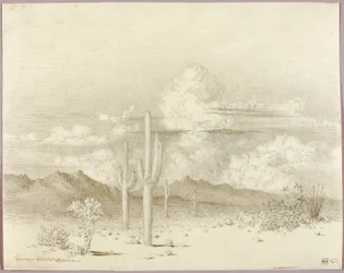 Nimetön (siirtopiirros teosta Ilta, Paradise Valley, Arizona varten)