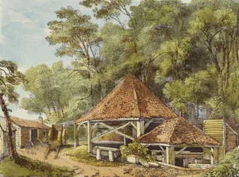 Water Works, Kew Gardens, levy 22 Kew Gardensilta: Sarja 24 piirustusta kiveen, kaivertanut Charles Hullmandel (1789-1850), julkaistu 1820 (käsinvärinen lito)