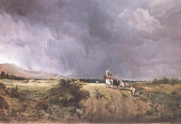 Maisema lehmien kanssa