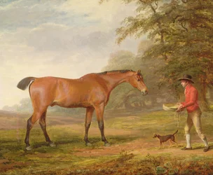 Rautias hevonen, jota tallipoika lähestyy ruoan ja riimun kanssa, 1789