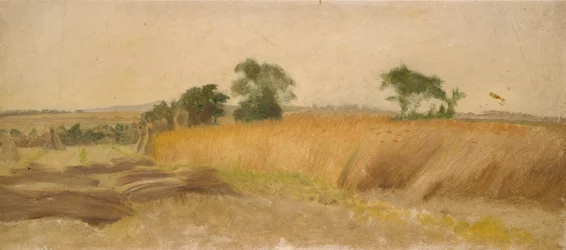 Tutkimus viljapellosta, 1800-luvun puoliväli