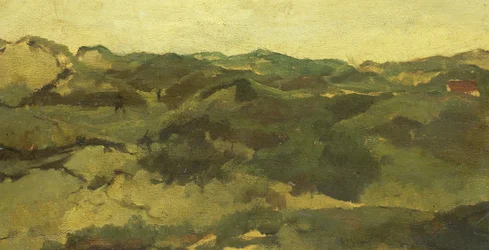 Heath-maisema, oletettavasti Drenthessä