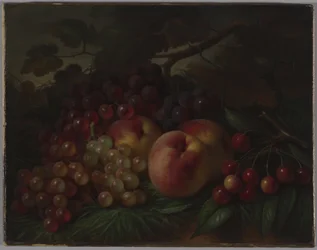 Persikat, viinirypäleet ja kirsikat, n. 1860-1870 (öljy kankaalle)