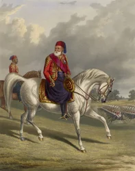 Ibrahim Pasha Egyptin 1789-1848, 1846