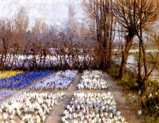 Krokuspelto keväällä, n. 1889 (pastelli paperille)