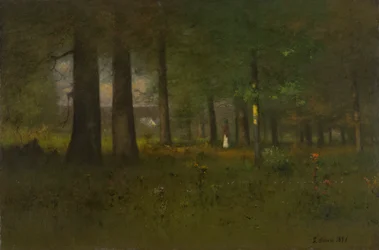 Metsän reuna