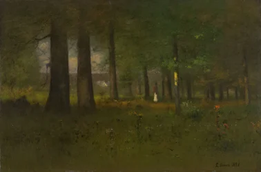 Metsänreuna