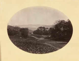 Road Williamstownissa, n. 1870.