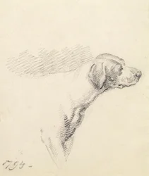 Tutkimus koirasta, 1794