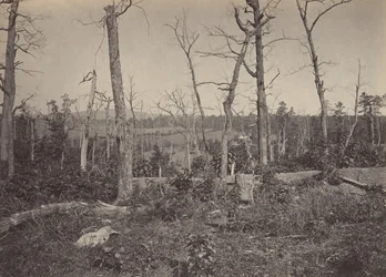 Resaccan taistelukenttä, Georgia nro 3, 1860-luku.