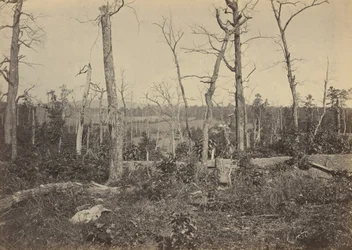 Resacan taistelukenttä, Georgia, N:o 3,1864 (kuva) (kuva)