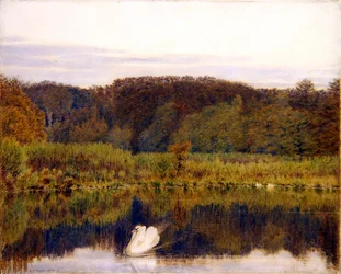 Abinger Mill Pond, Surrey - Aamu myöhään syksyllä (akvarelli paperille)