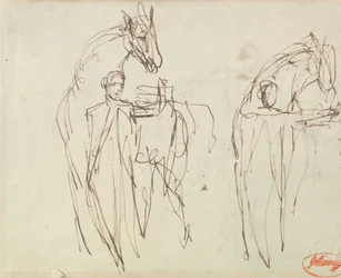 Luonnoksia hevosmiehelle