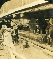 Timber Industry, Warburton, Victoria, Australia, 1909.